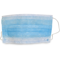 54-RS-700 - Pleated Ear Loop Procedural Mask 50/BX